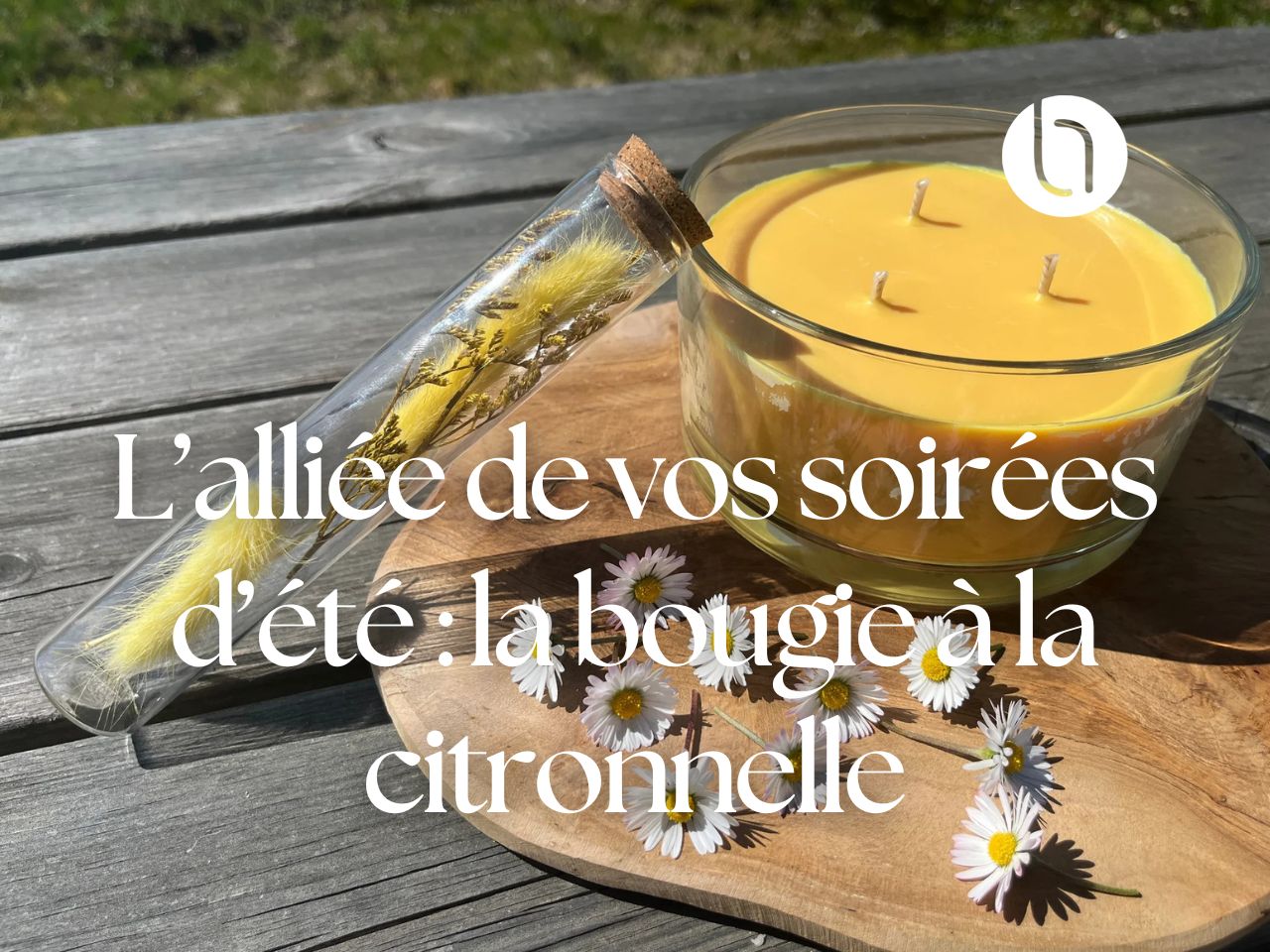 Fabriquez votre bougie antimoustique à la citronnelle Latitude Nature — free download