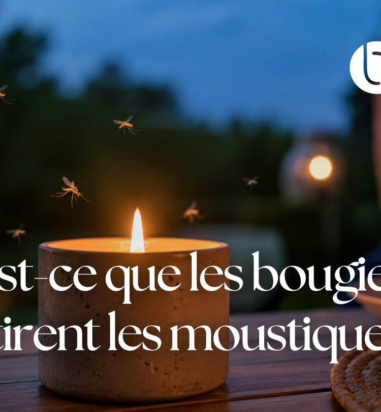 Photo d’illustration montrant une bougie allumée sur une table extérieure au crépuscule, avec quelques moustiques près de la flamme, pour illustrer le lien entre bougies, lumière, chaleur et présence de moustiques.